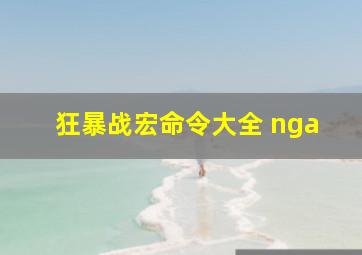 狂暴战宏命令大全 nga